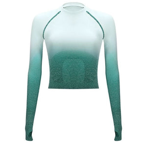 Women Two Piece Set Long Sleeve Tops Sport Suit Fitness Leggings Ombre Seamless Crop Tops Sportswear Sweatshirt Tracksuit Sets