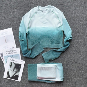 Women Two Piece Set Long Sleeve Tops Sport Suit Fitness Leggings Ombre Seamless Crop Tops Sportswear Sweatshirt Tracksuit Sets